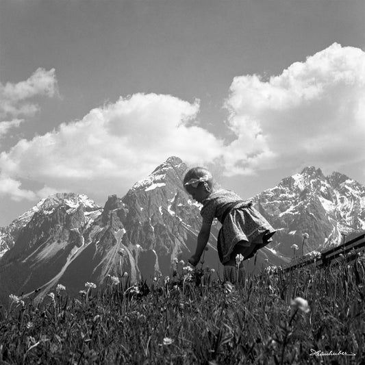 Luisi auf der Blumenwiese I
