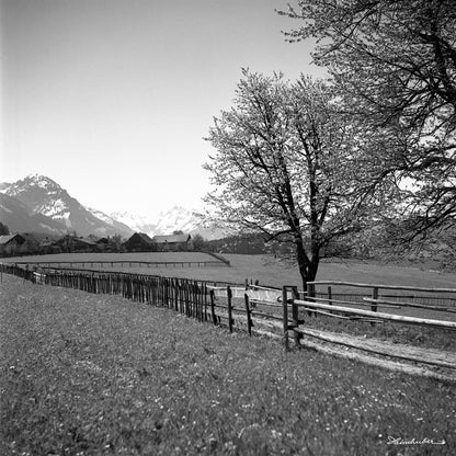 Morgenstimmung bei Hinang