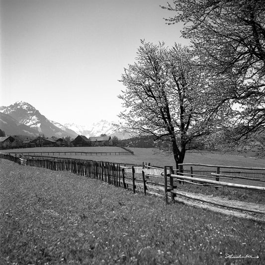 Morgenstimmung bei Hinang