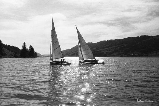 Segelboote auf dem Alpsee