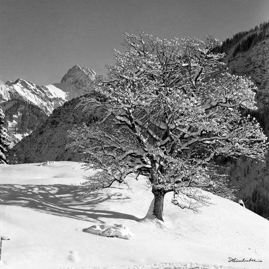 Winterwelt