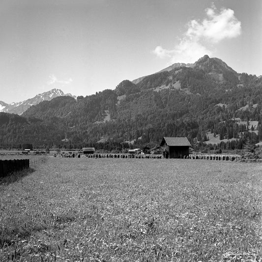 Stillachtal mit Huinzen
