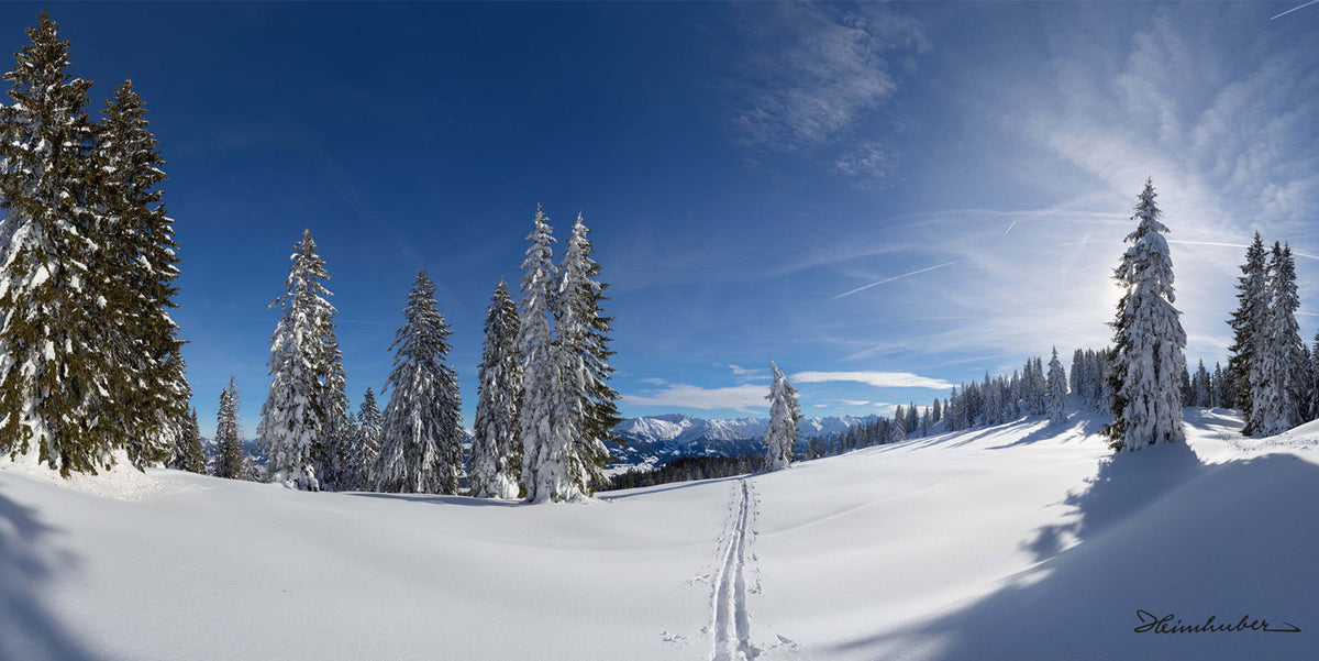 Winterpanorama