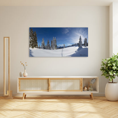 Winterpanorama