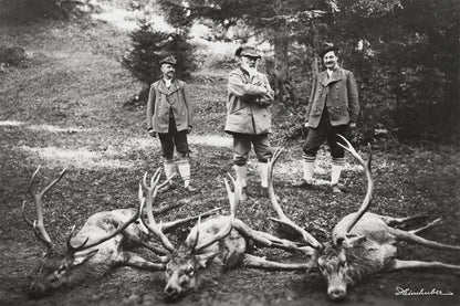 Prinzregent Luitpold bei der Hofjagd