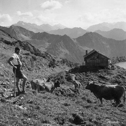 Hintere Seealpe mit Senn und Kühen