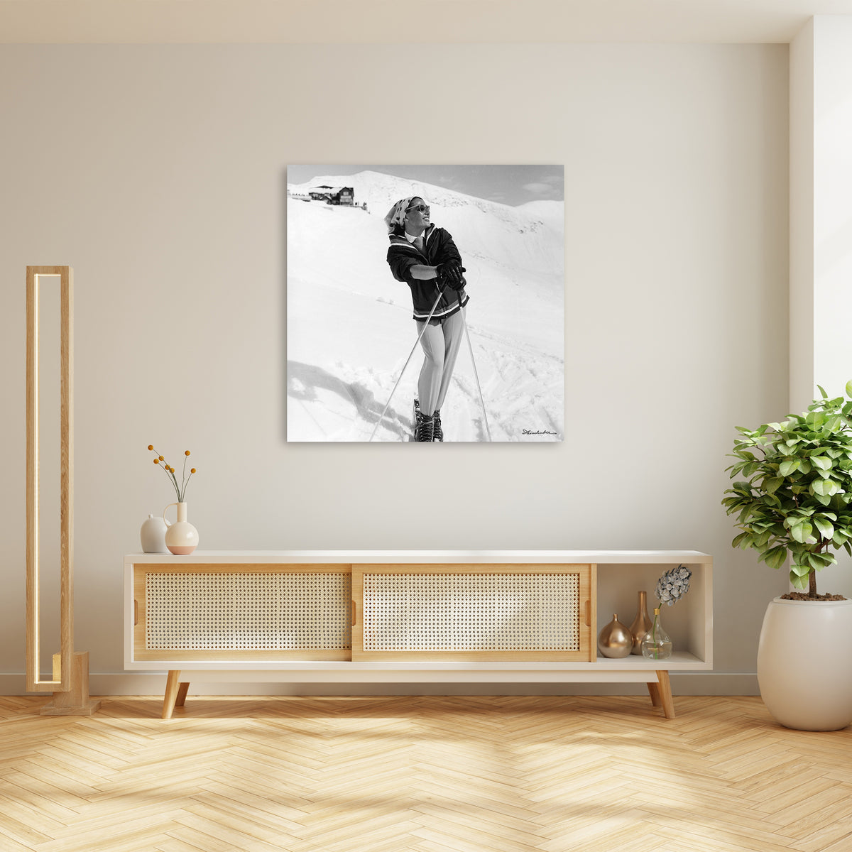 Skimodel