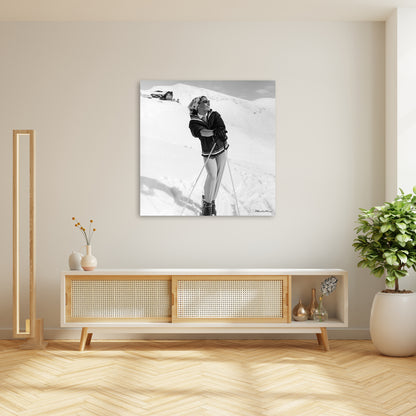 Skimodel