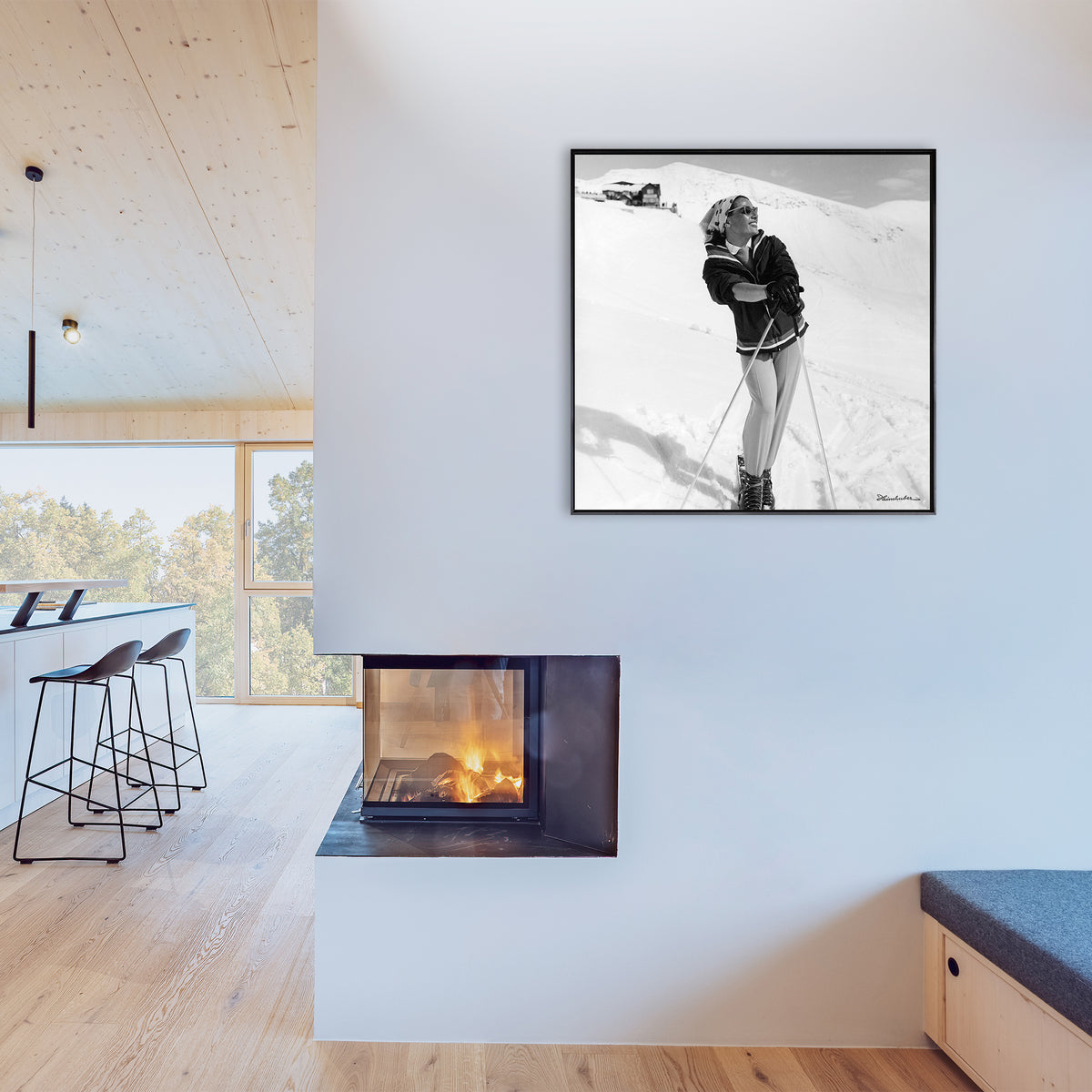 Skimodel