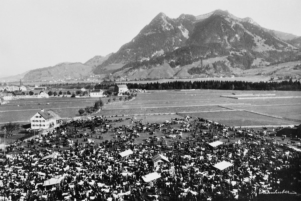 Viehmarktplatz