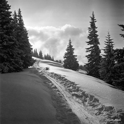Spuren im Schnee