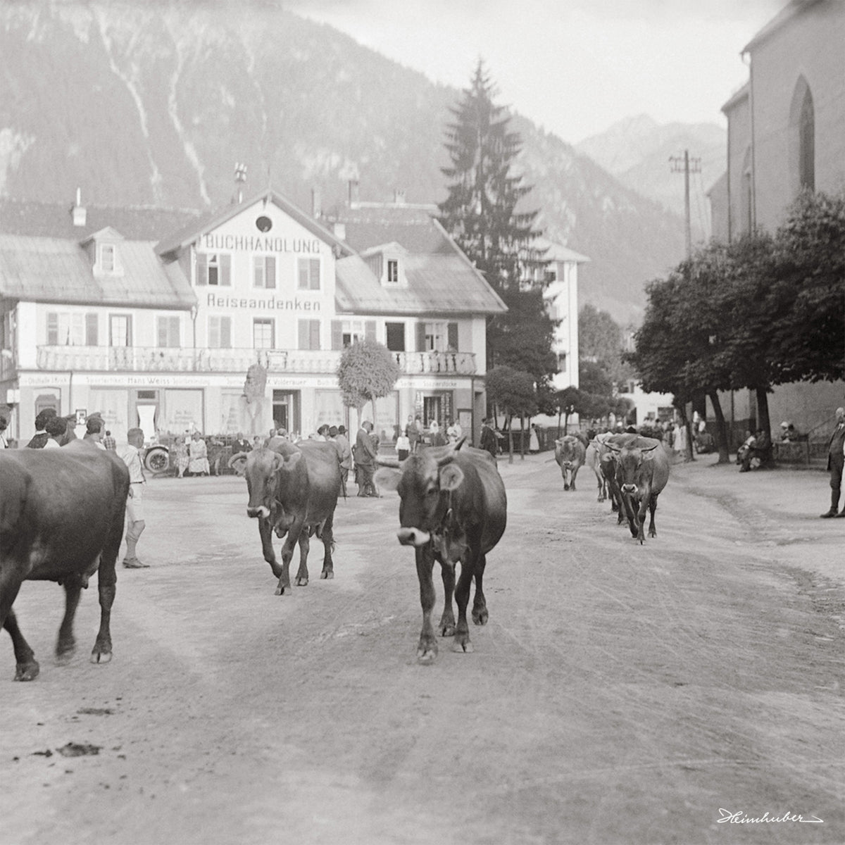Marktplatz Oberstdorf mit Kühen