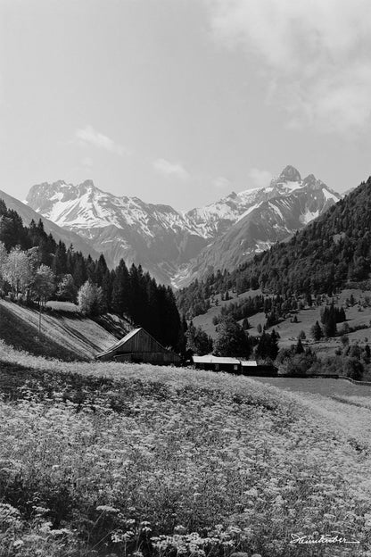 Gruben im Trettachtal II.