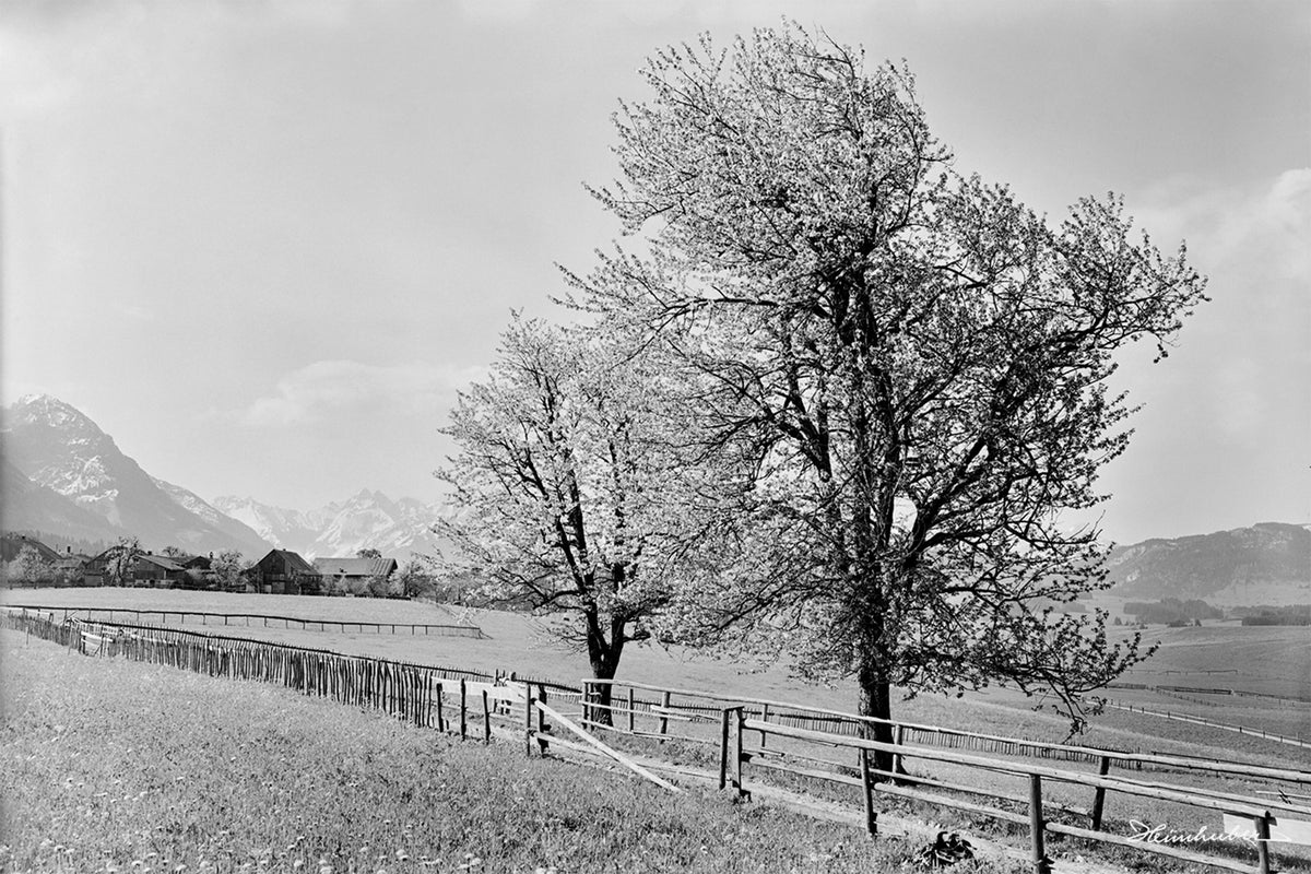 Weg bei Beilenberg