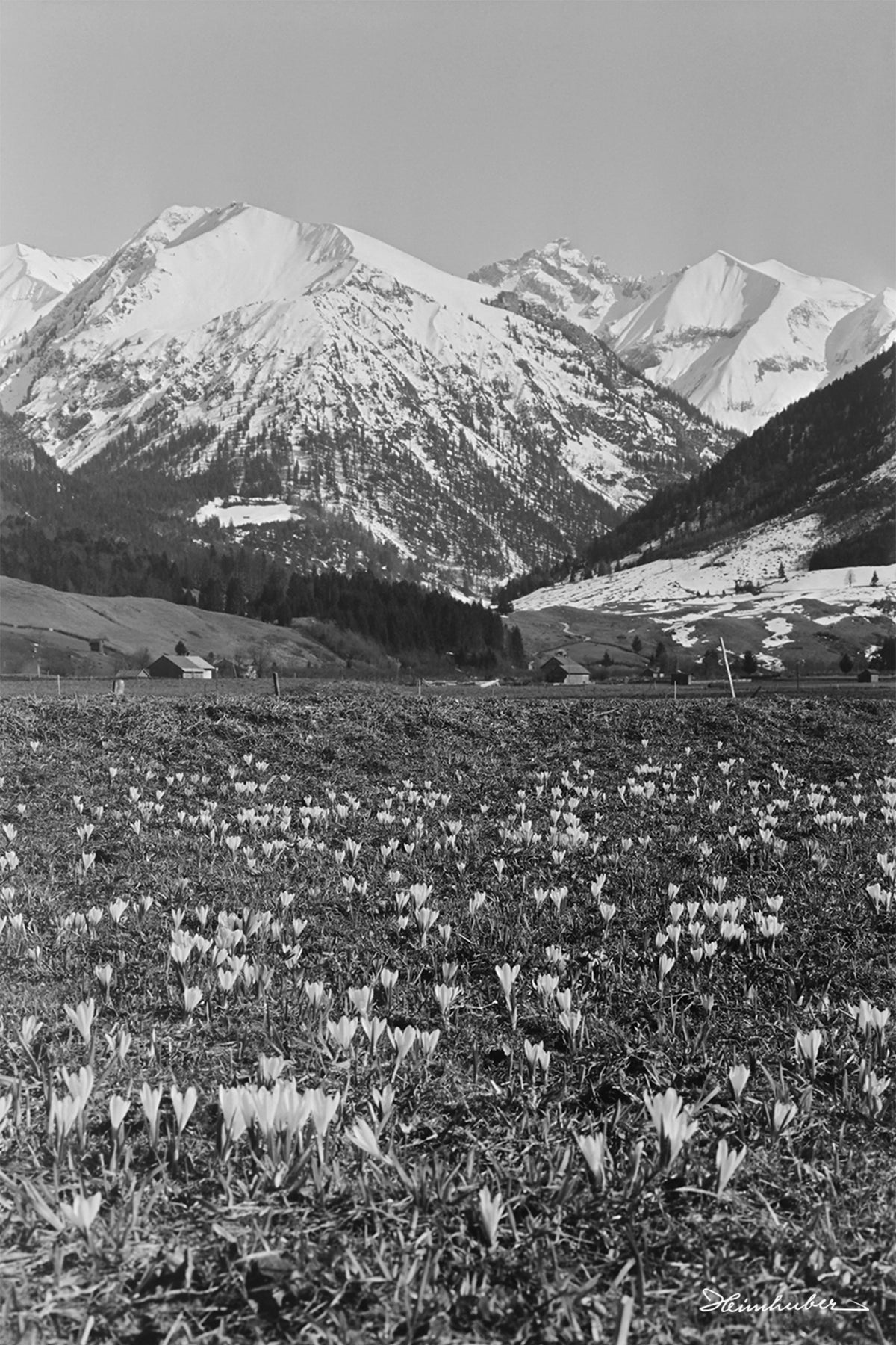 Frühling