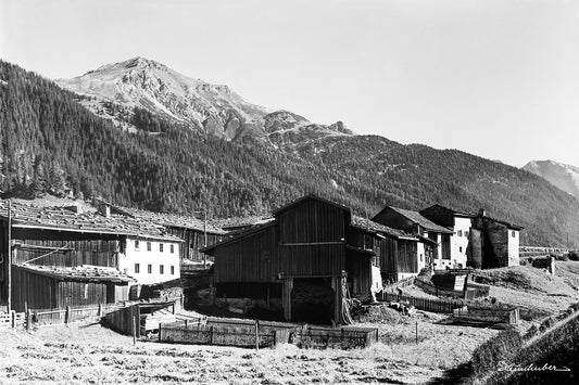Nasserein 1921