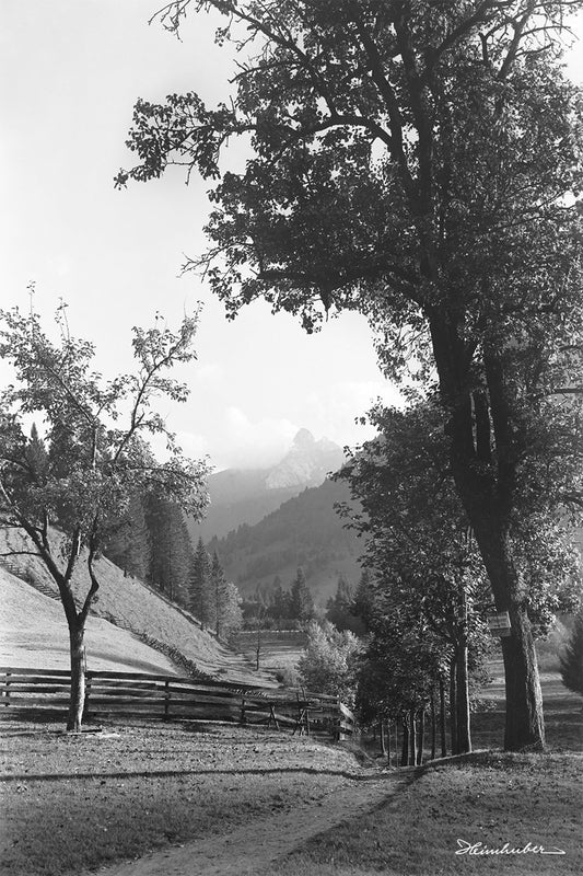 Idylle
