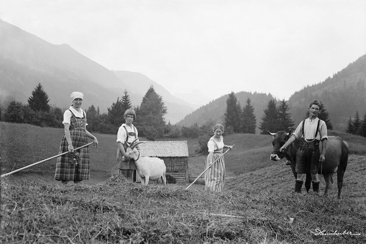 Feldarbeit bei Kornau