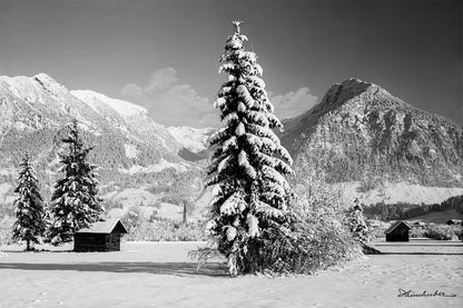 Winterlandschaft
