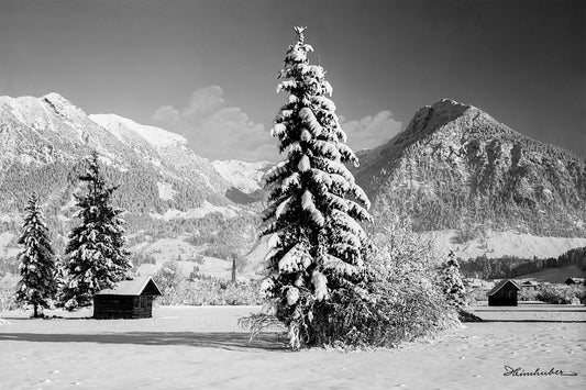 Winterlandschaft