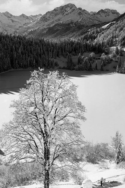 Verschneiter Freibergsee