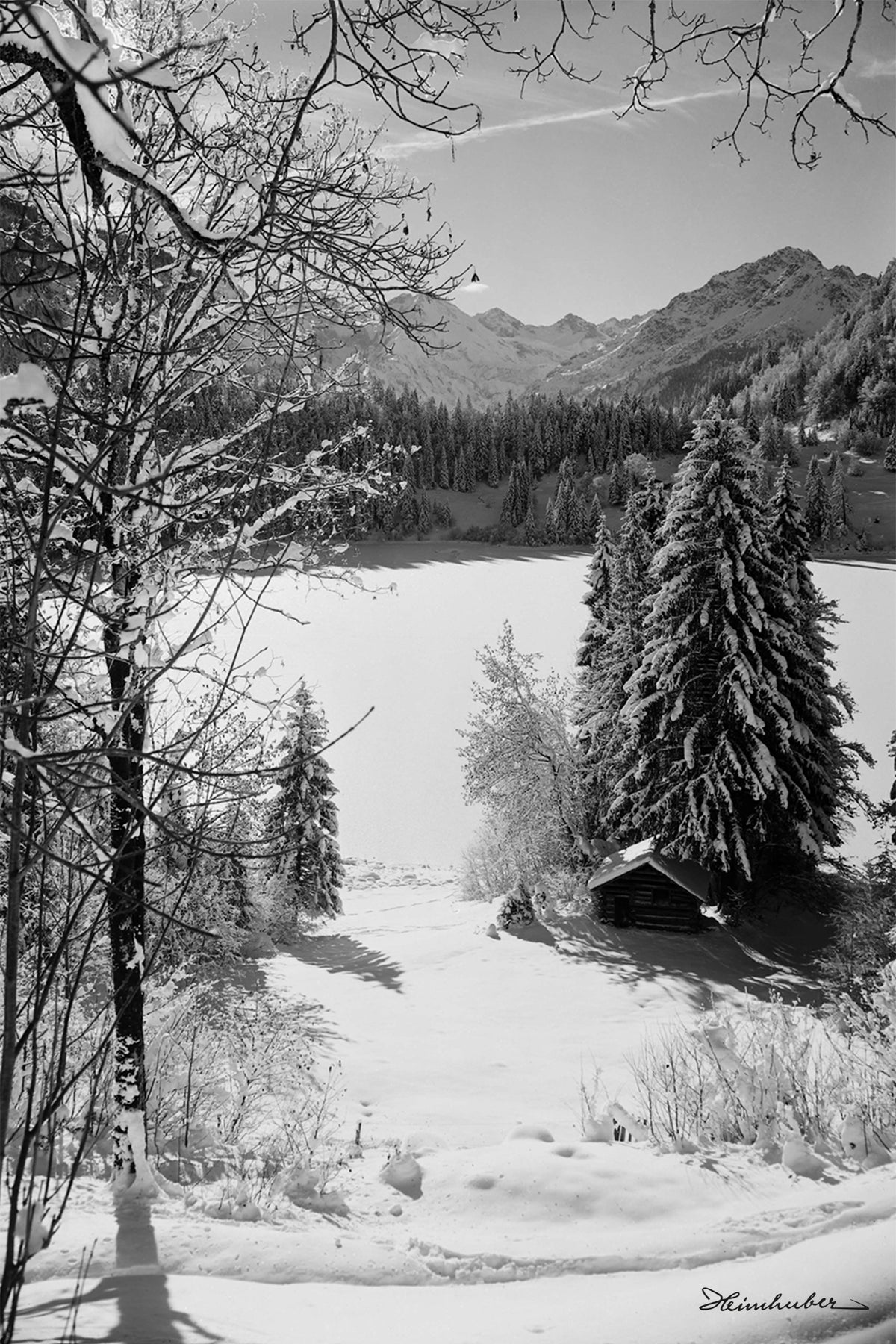 Freibergsee im Winter