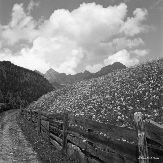 Weg bei Gaicht