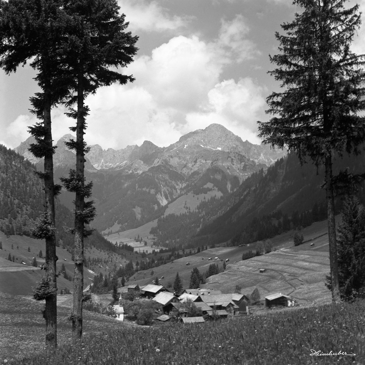 Weißenbach am Lech mit Tannen