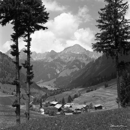 Weißenbach am Lech mit Tannen
