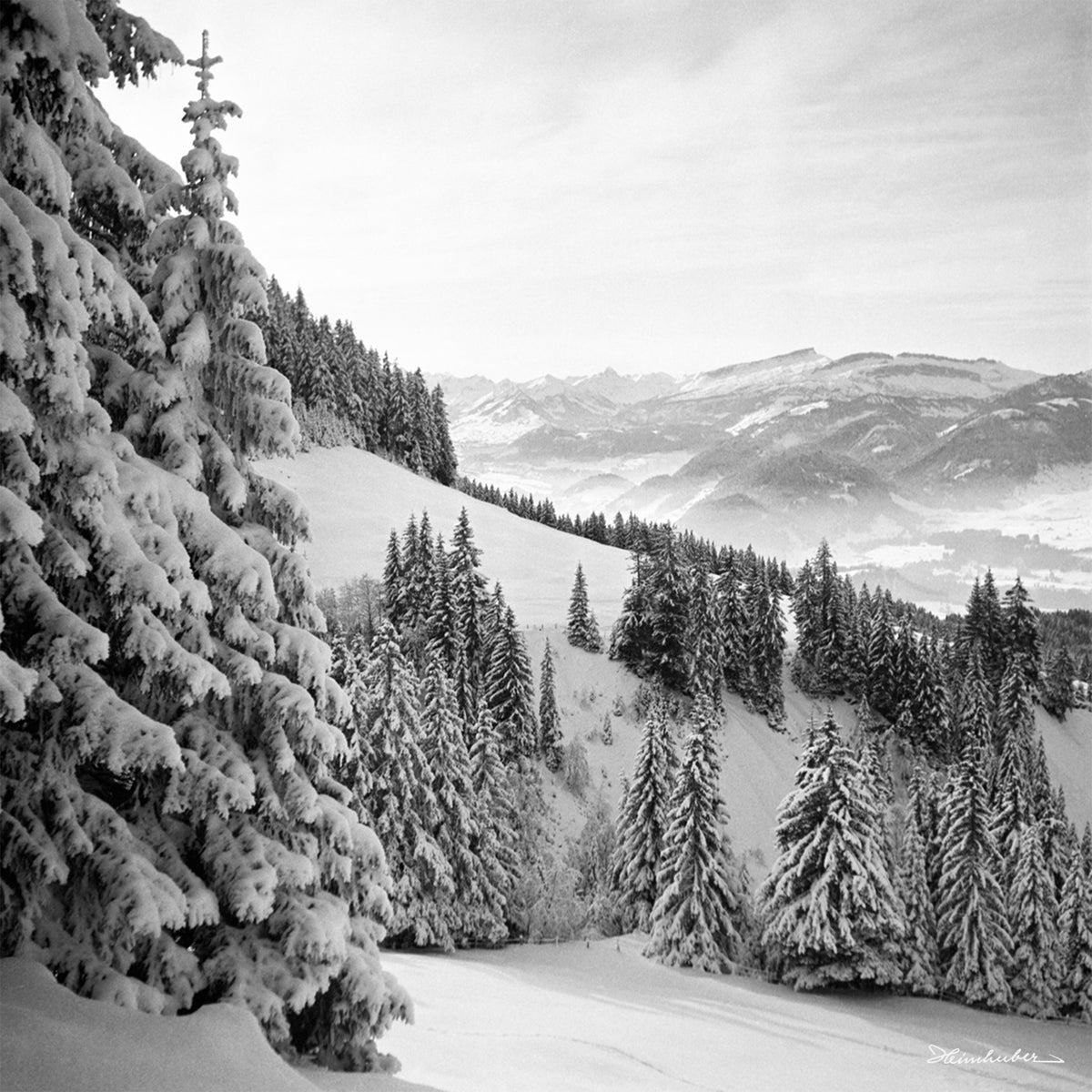 Winterlicher Blick zum hohen Ifen