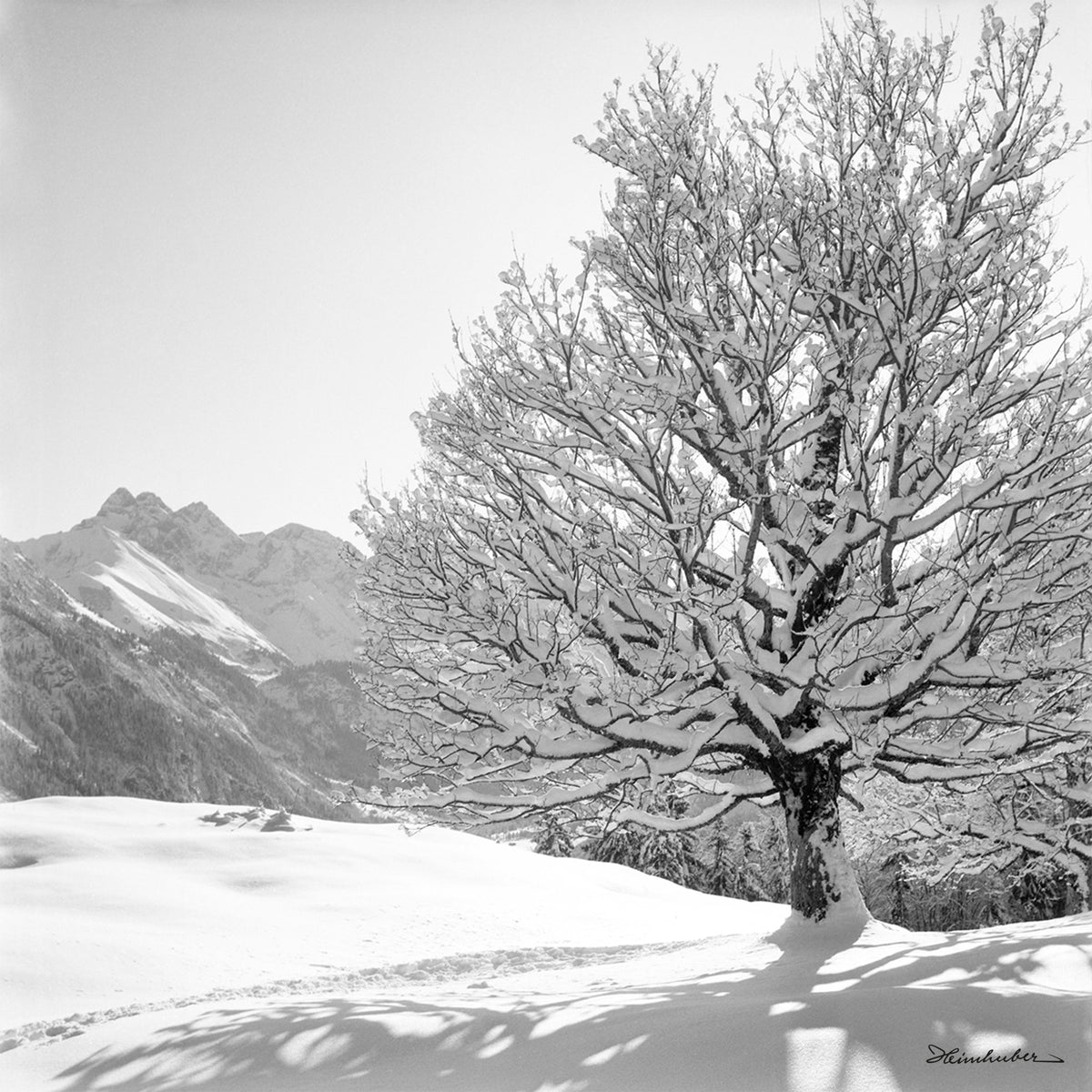 Winterwelt II.