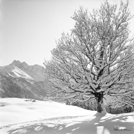 Winterwelt II.