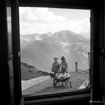 Fensterblick