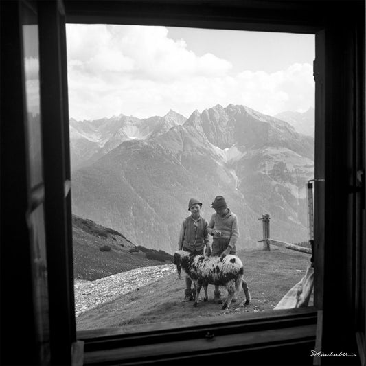 Fensterblick