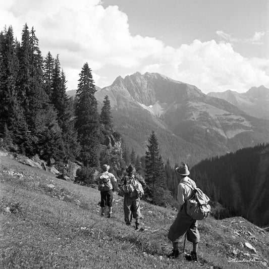 Wanderung zum Wolfebner II.