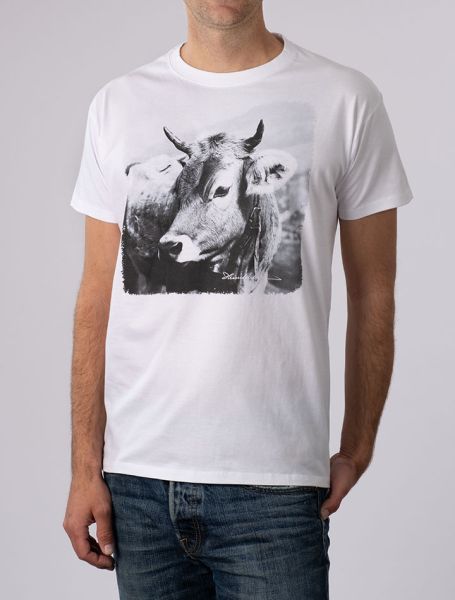 Herren T-Shirt Allgäuer Kuh